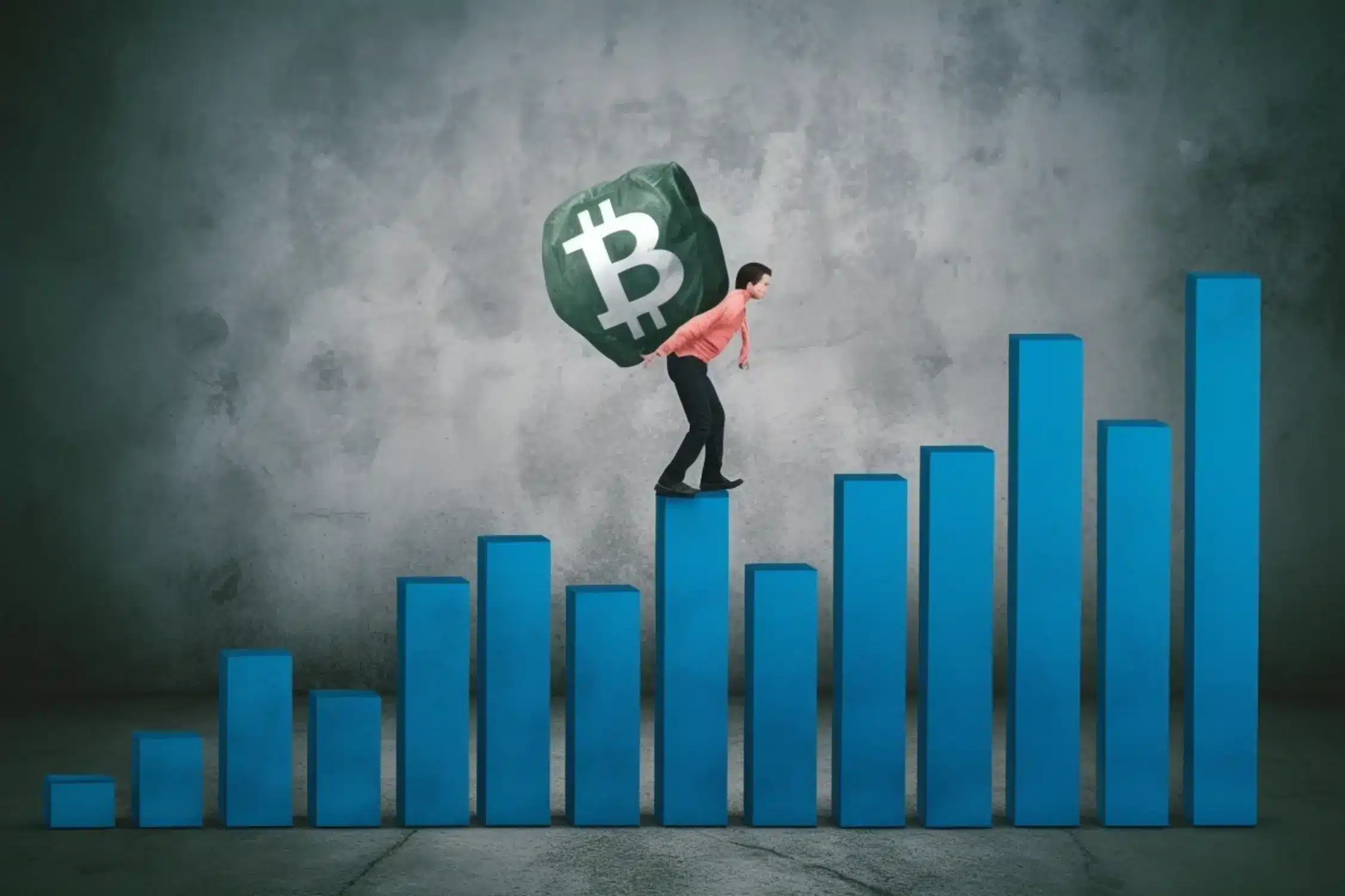 img-bitcoin-investment-risks-1