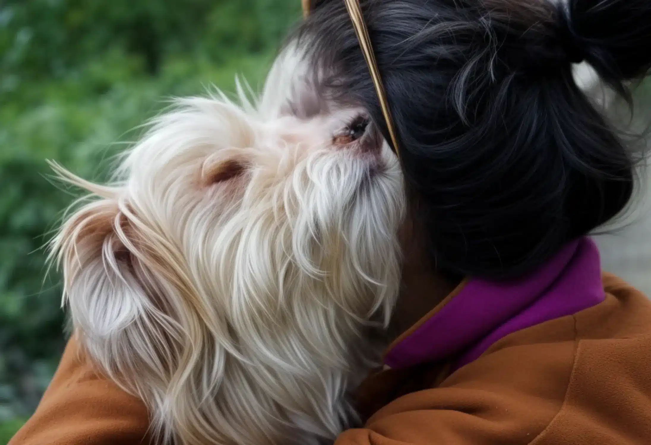 img-shih-tzu-tokens-animal-welfare-1